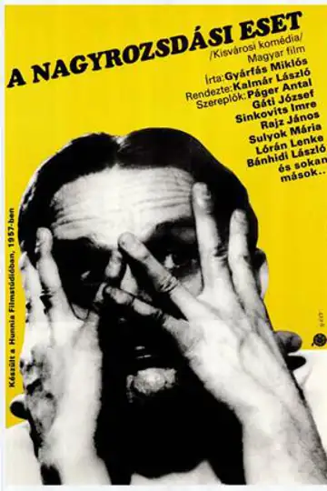 A nagyrozsdási eset