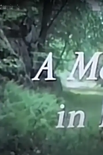 Un momento en el amor