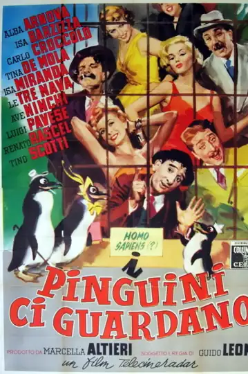 I pinguini ci guardano