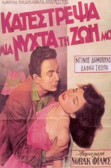 Una noche arruiné mi vida