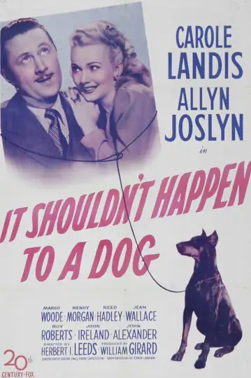 It Shouldn't Happen to a Dog