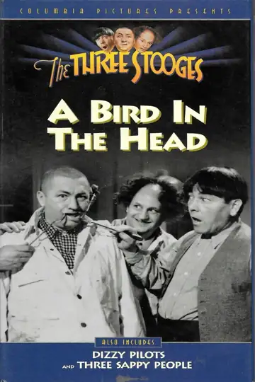 A Bird in the Head: Três atrapalhados decoradores se envolvem em um plano maluco de um cientista, que deseja usar o cérebro de Curly em experimentos com gorilas.