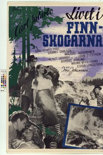 Life in the Finn Woods