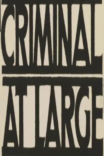 A Criminal at Large