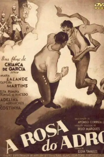 A Rosa do Adro