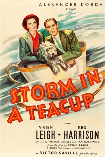 Storm in a Teacup: In a Scottish town, a local politician seeks revenge on a reporter who published a damaging article and loves his daughter.