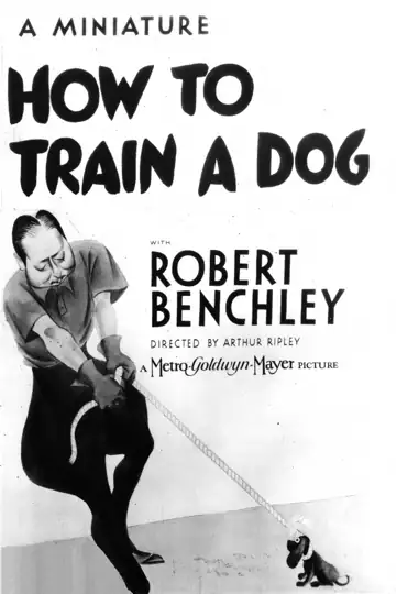How to Train a Dog: Um novo proprietário de cachorro enfrenta desafios hilários ao tentar treinar seu novo amigo peludo da maneira errada.