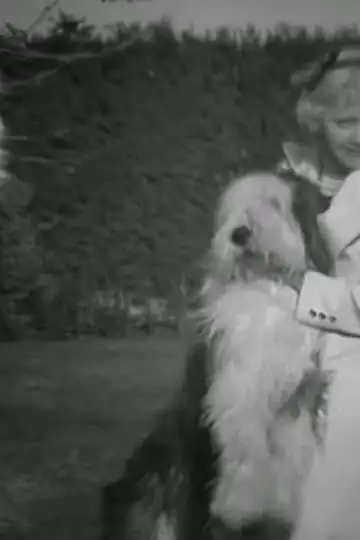 A Trip Thru a Hollywood Studio