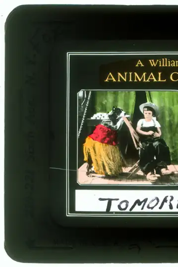 A Wolf in Cheap Clothing