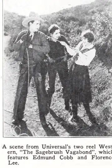 A Sagebrush Vagabond