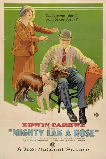 Filmelier Image