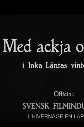 Med ackja och ren i Inka Läntas vinterland