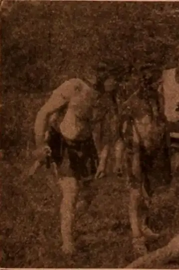 Filmelier Image