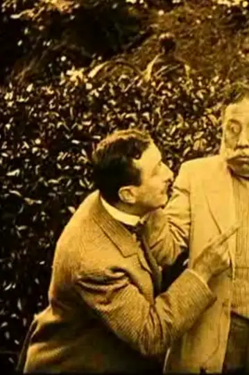 The Surprises of a Flirtation