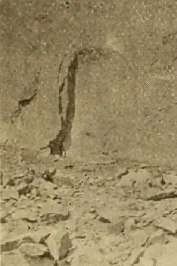 A Cowboy's Narrow Escape