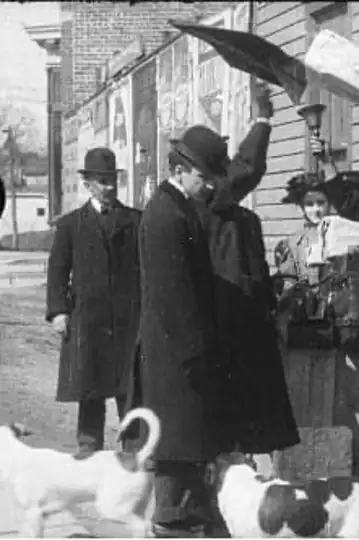 Filmelier Image