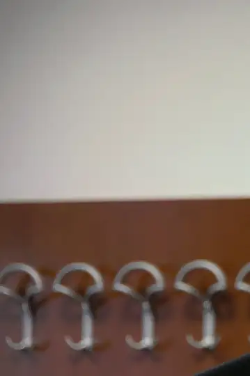 In the Name of the Republic of Croatia