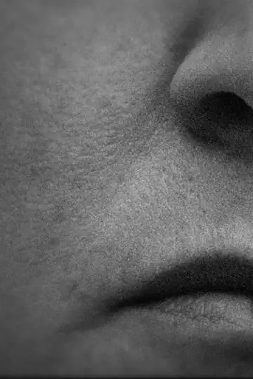 Animal Bridge U-3033