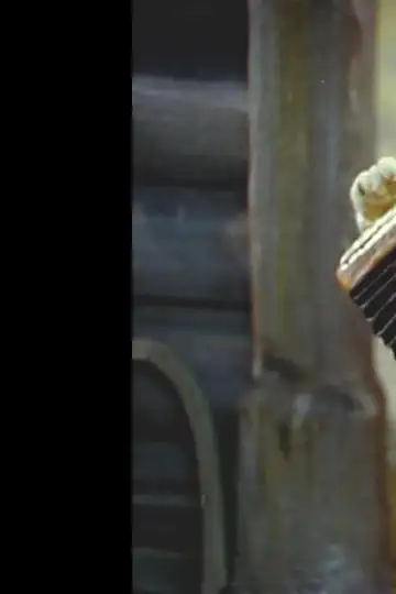 V gostyakh u deda Yevlampiya. Garmon