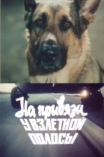 Na privyazi u vzlyotnoy polosy