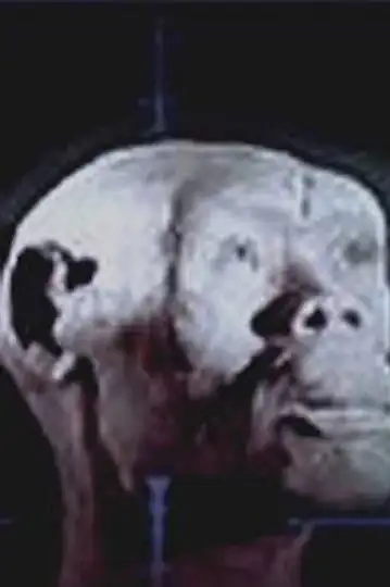 U istokov chelovechestva