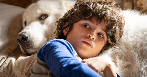 Bella y Sebastien: La nueva generación
