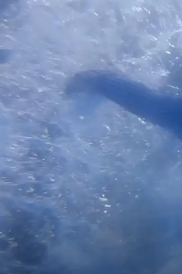 Cyber-Abuse: The Storming (A Cry to Congress)