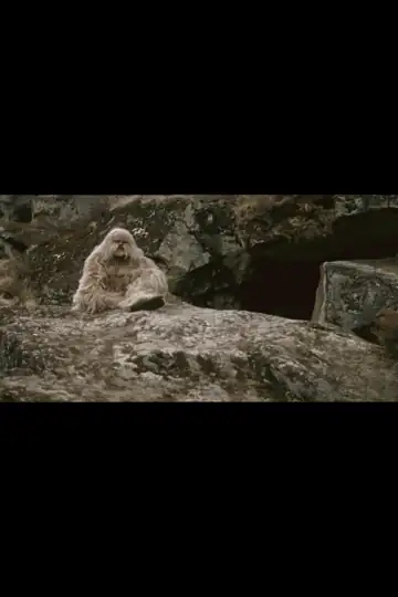 Yeti, le cri de l'homme des neiges