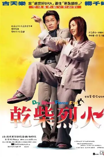 Dry Wood Fierce Fire