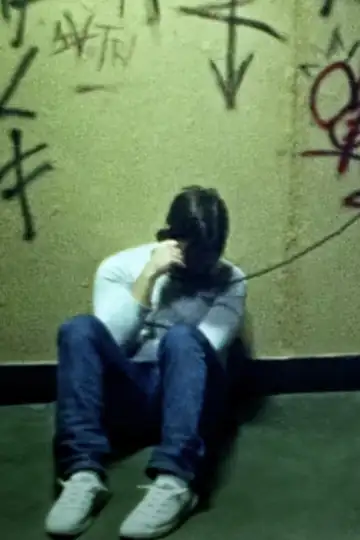 Requiem for a Dream (Student Work)