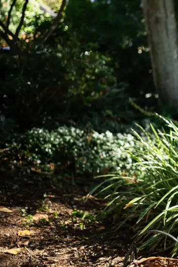 A Tale of Favorite Books