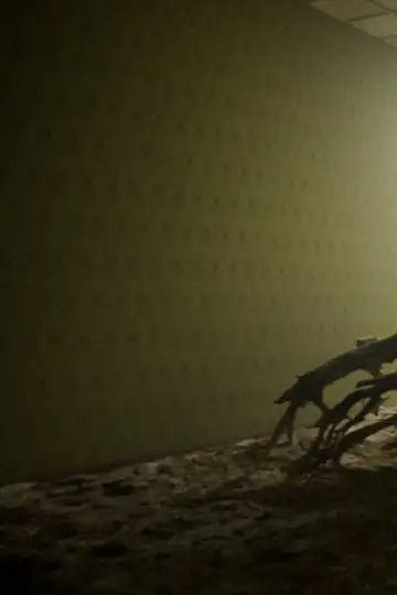 A Journey Through the Backroms - Tape 1