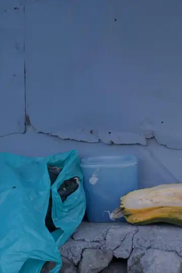 Variations on How to Farm a City