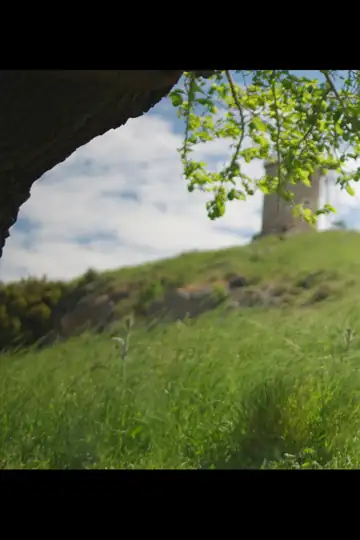 The Burden Heavier Than a Corpse