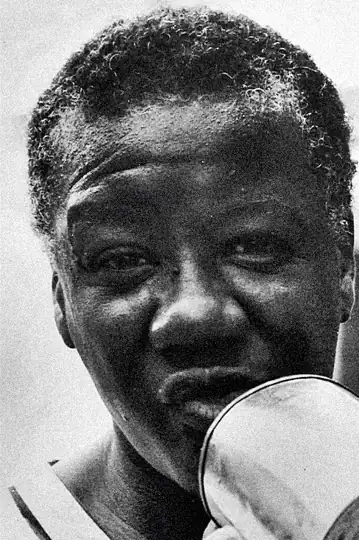 Stella do Patrocínio e a gênese da poesia