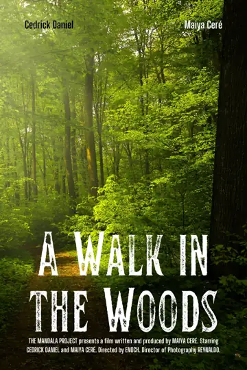 A Walk in the Woods
