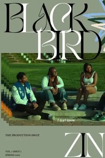 Blackbird - a student film about graduation and growing up