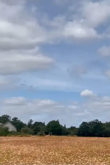 Maman, lettre à la Terre