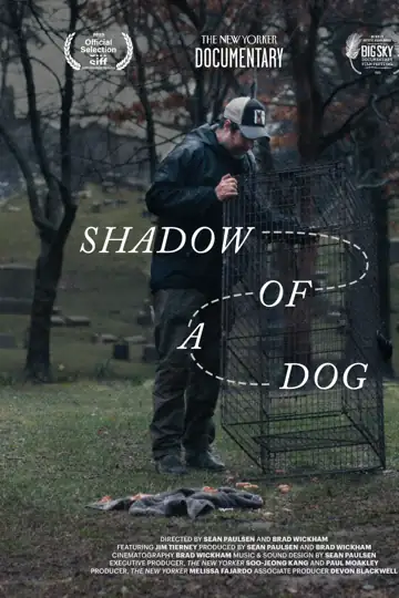 Shadow of a Dog