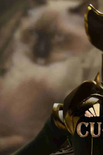 A Show of Curiosities