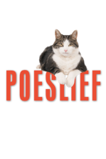 Kitty Love: An Homage to Cats