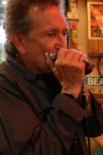 Tin Sandwich Blues: A Musician's Journey