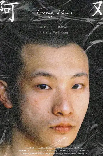 Capa do filme Going Home