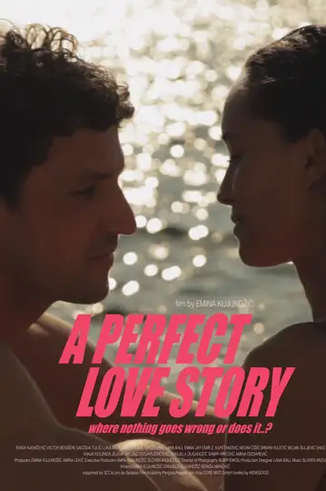 A Perfect Love Story where nothing goes wrong or does it..?