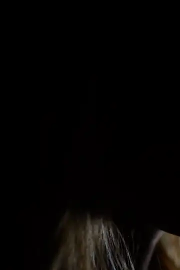 Lauren Jenkins: She's A Star - Lyric