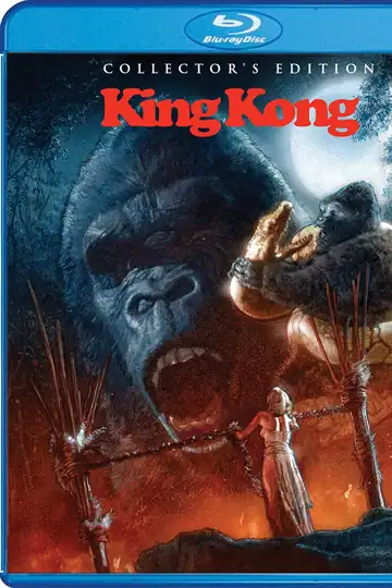 There's A Fog Bank Out There