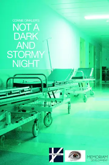 Not A Dark and Stormy Night