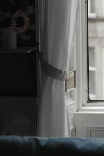 Pawsea (or: The Melancholy Ruminations of a Solitary French Bulldog)