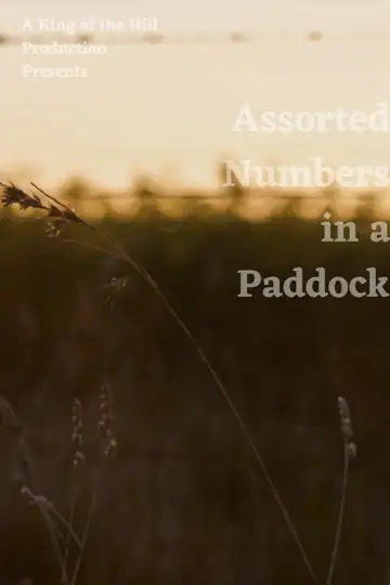 Assorted Numbers in a Paddock