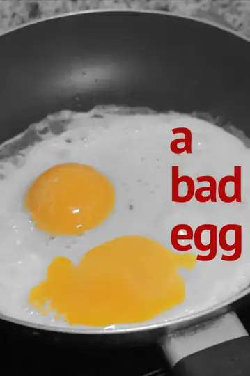 A Bad Egg